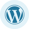 Chicago custom WordPress Development